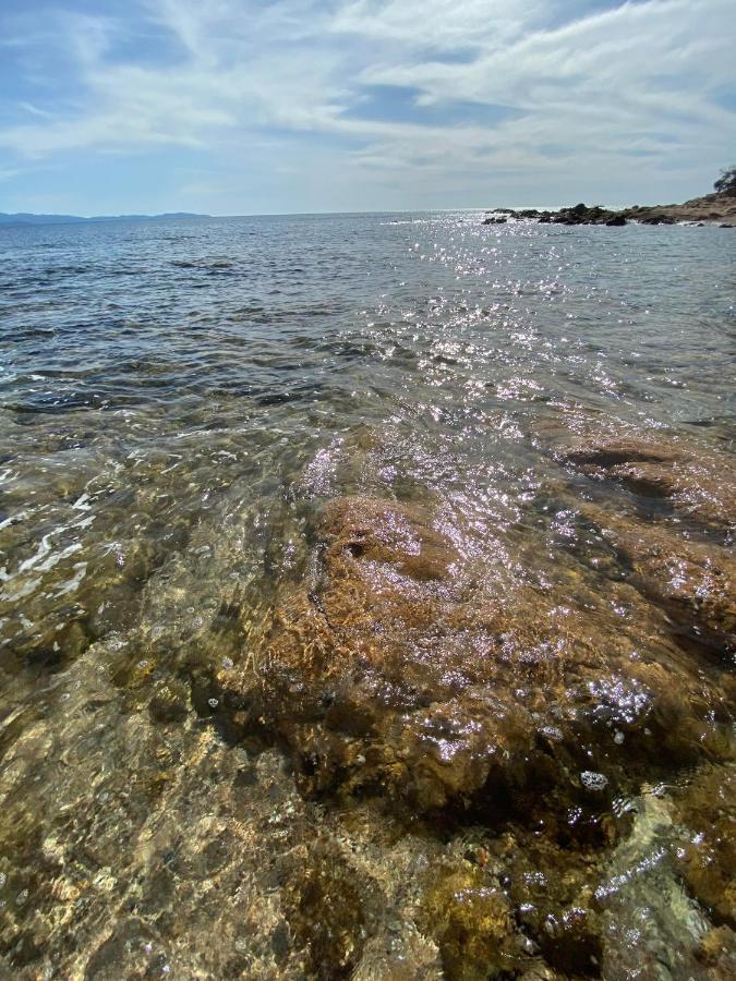 Super Studio Centre Ville D'Ajaccio أجاكسيو المظهر الخارجي الصورة
